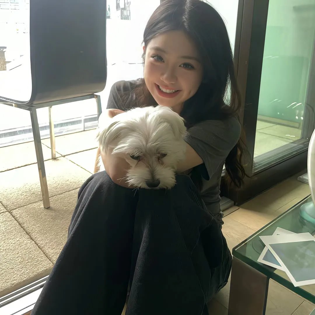 折翼鸟