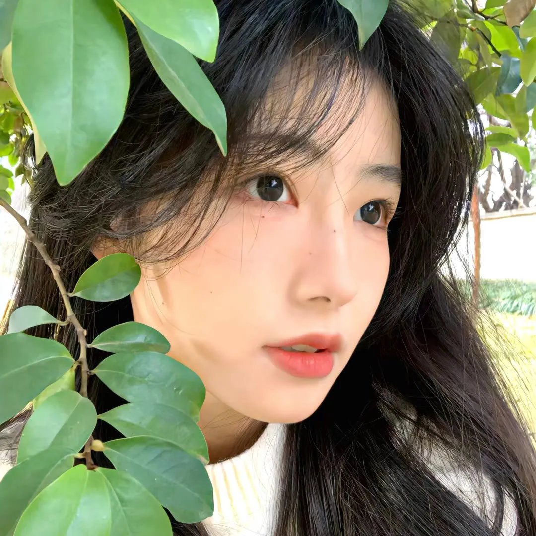 永不妥协
